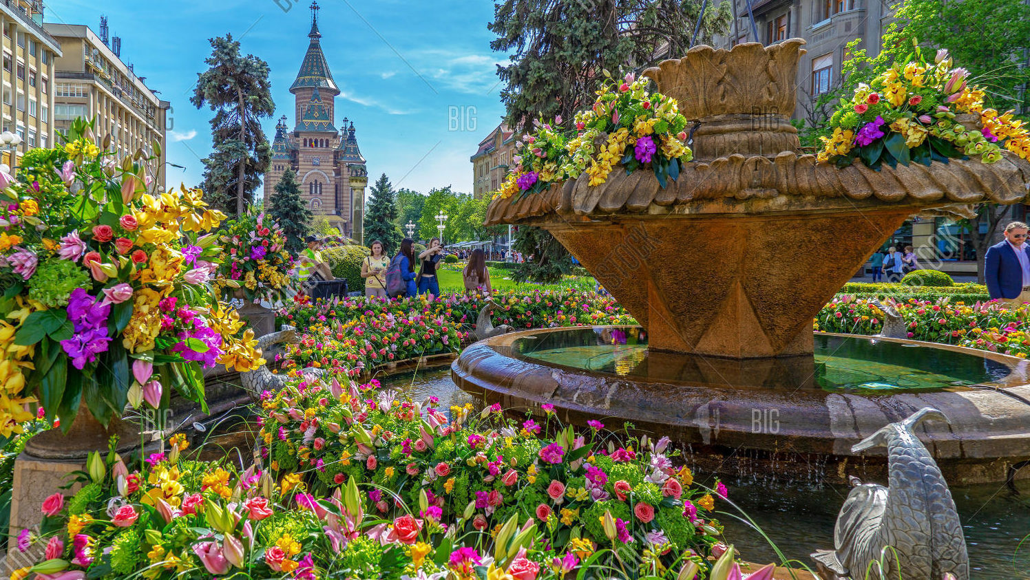 Timisoara flower festival